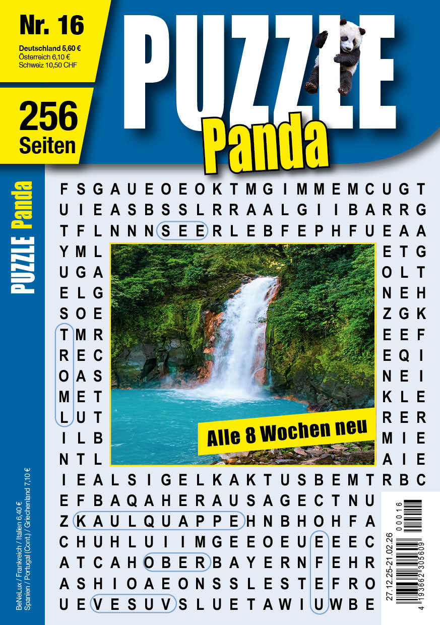 Puzzle Panda #16